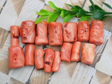 RED CORAL ROCK STONE LAPIDARY SPECIMEN