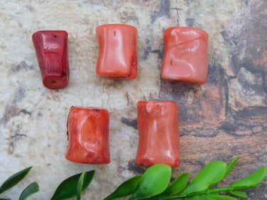 RED CORAL ROCK STONE LAPIDARY SPECIMEN