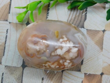 HATMANS FLOWER PETAL AGATE ROCK STONE LAPIDARY SPECIMEN