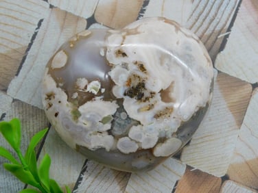 HATMANS FLOWER PETAL AGATE ROCK STONE LAPIDARY SPECIMEN