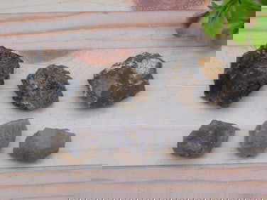 ELLENSBURG AGATE ROCK STONE LAPIDARY SPECIMEN