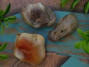 MIXED LOT ROCK STONE LAPIDARY SPECIMEN
