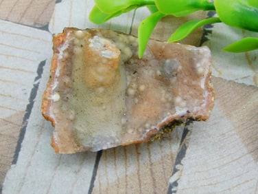 CAVE GEODE ROCK STONE LAPIDARY SPECIMEN