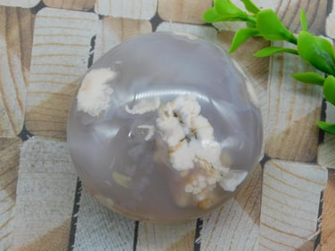 HATMANS FLOWER PETAL AGATE ROCK STONE LAPIDARY SPECIMEN