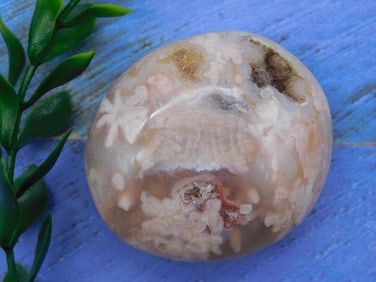 HATMANS FLOWER PETAL AGATE ROCK STONE LAPIDARY SPECIMEN