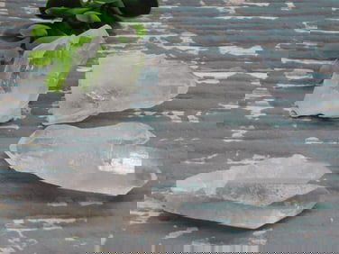 QUARTZ ROCK STONE LAPIDARY SPECIMEN