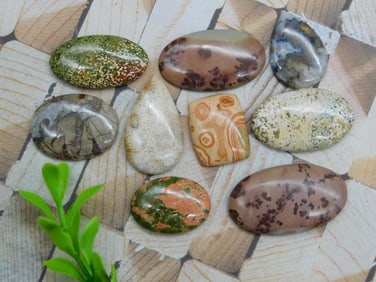 CABOCHONS ROCK STONE LAPIDARY SPECIMEN