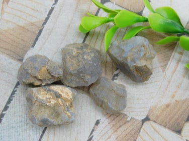 ELLENSBURG AGATE ROCK STONE LAPIDARY SPECIMEN