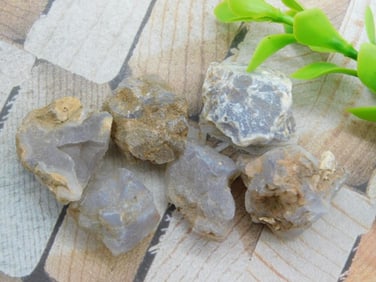 ELLENSBURG AGATE ROCK STONE LAPIDARY SPECIMEN