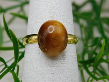 CATS EYE RING ROCK STONE LAPIDARY SPECIMEN