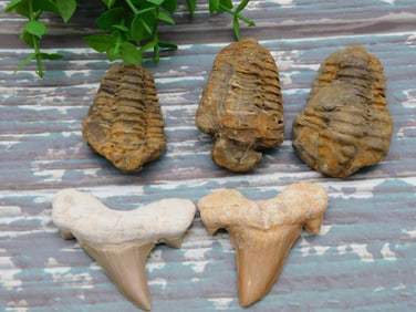 MIXED LOT ROCK STONE LAPIDARY SPECIMEN