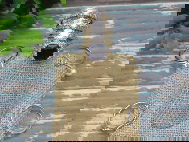 STONE RINGS ROCK STONE LAPIDARY SPECIMEN