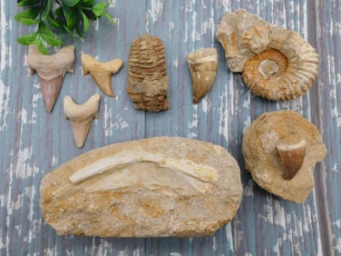 MIXED LOT ROCK STONE LAPIDARY SPECIMEN