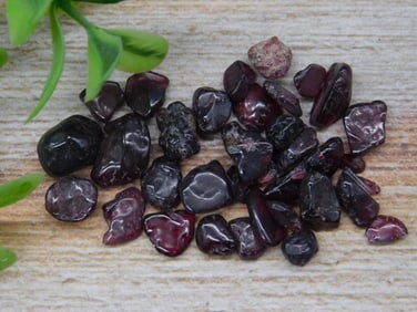 Collection of Polished Red Garnet Gemstones