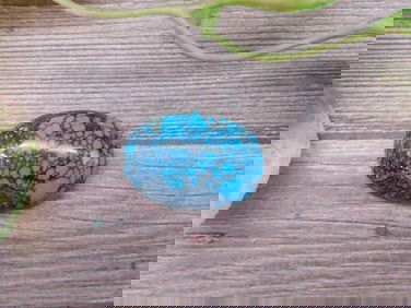 TURQUOISE Cabochon with Spiderweb Matrix Design
