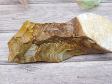 JASPER With Brown and Cream Variegation