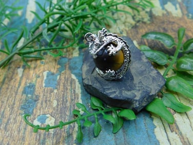 TIGERS EYE DRAGON PENDANT ROCK STONE LAPIDARY SPECIMEN
