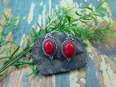 RED CORAL EARRINGS ROCK STONE LAPIDARY SPECIMEN