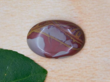 NOREENA JASPER CABOCHON ROCK STONE LAPIDARY SPECIMEN