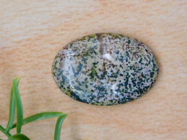 OCEAN JASPER CABOCHON ROCK STONE LAPIDARY SPECIMEN