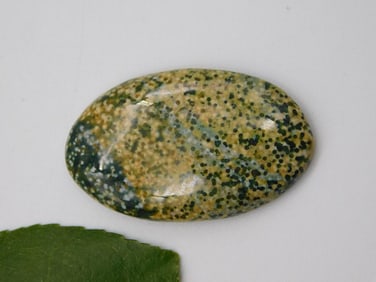 OCEAN JASPER CABOCHON ROCK STONE LAPIDARY SPECIMEN