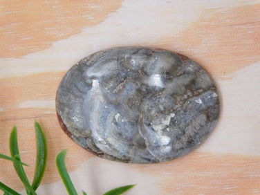 MUSHROOM RHYOLITE CABOCHON ROCK STONE LAPIDARY SPECIMEN