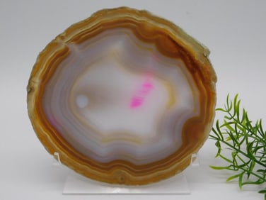 AGATE SLICE ROCK STONE LAPIDARY SPECIMEN
