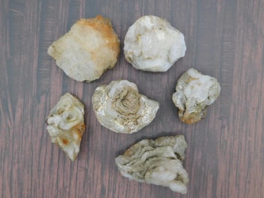 FIRE AGATE ROCK STONE LAPIDARY SPECIMEN