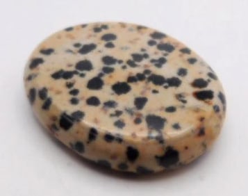 DALMATION JASPER ROCK STONE LAPIDARY SPECIMEN