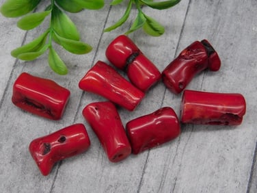 RED CORAL ROCK STONE LAPIDARY SPECIMEN