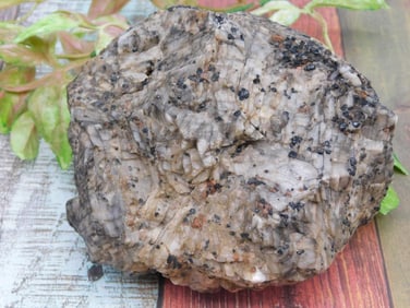 2 POUND ROCK STONE LAPIDARY SPECIMEN