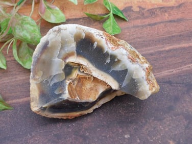 AGATE ROCK STONE LAPIDARY SPECIMEN