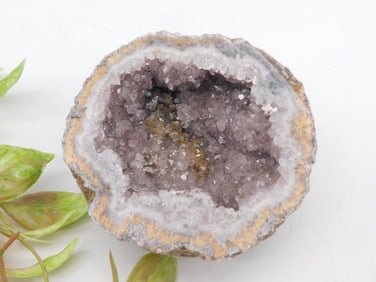 Purple Quartz Geode with Crystalline Cavities ROCK STONE LAPIDARY SPECIMEN