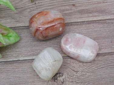 Set of 3 Polished ROCK STONE LAPIDARY SPECIMEN