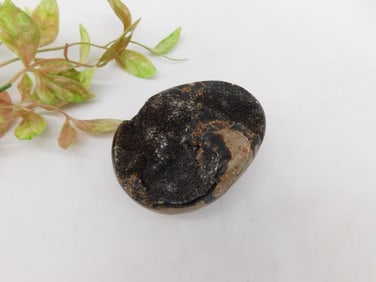 SEPTARIAN ROCK STONE LAPIDARY SPECIMEN
