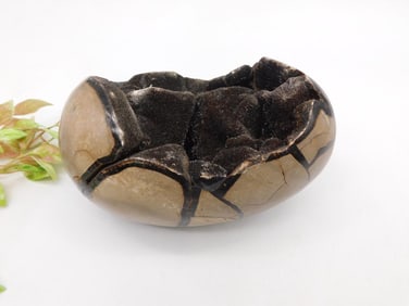 SEPTARIAN ROCK STONE LAPIDARY SPECIMEN