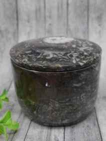 ORTHOCERAS TRINKET BOX ROCK STONE LAPIDARY SPECIMEN