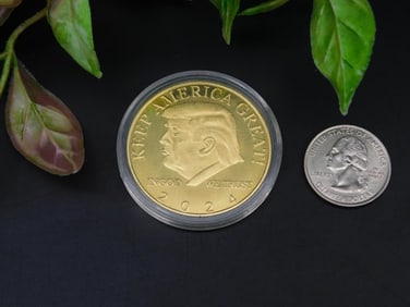 Gold-Toned Donald Trump Commemorative Coin in Protective Case