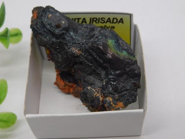 Iridescent Goethite Mineral Specimen, 37 Grams