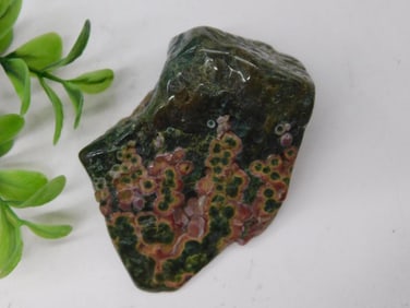 Polished Ocean Jasper Specimen ? Multicolored Pattern