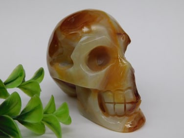 Polished Agate Skull Figurine Rock Stone Lapidary Specimen