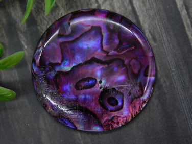 Purple Abalone Shell Decorative Round Cabochon