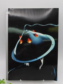 Graphis 301 Design Publication, 1995 Edition MAGAZINE