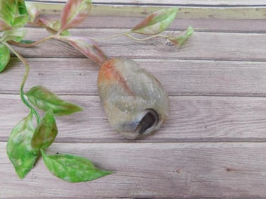 Agate Rock Stone Lapidary Specimen