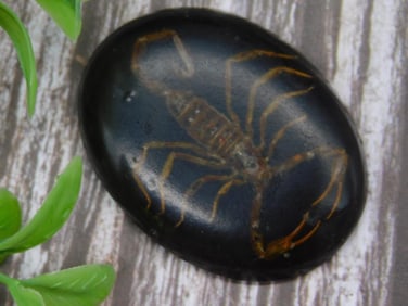 Oval Black Stone With Scorpion Embedded Design