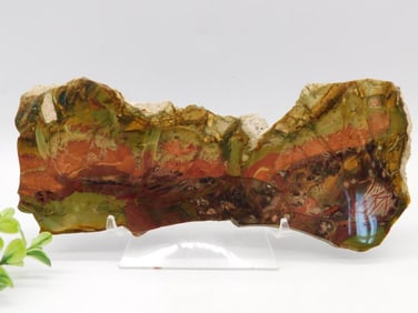 Cherry Creek Jasper Slab with Multicolored Patterns