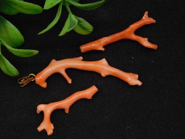 Salmon Coral Pendant and Branch Pieces