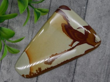 Polished Jasper Cabochon with Unique Pattern