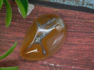 Polished Agate Stone with Unique Patterns