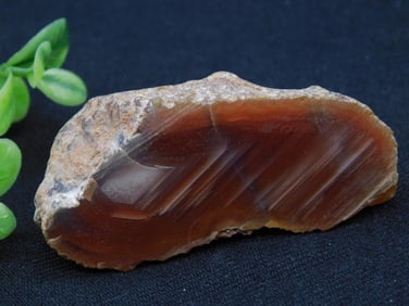 Reddish-Brown Polished Agate Mineral Specimen